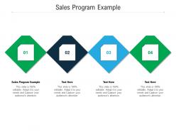 Sales program example ppt powerpoint presentation inspiration slide cpb
