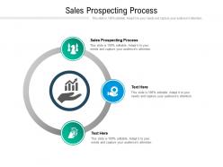 Sales prospecting process ppt powerpoint presentation outline infographics cpb