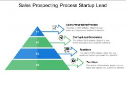 Sales prospecting process start up lead generation career progression cpb