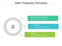 Sales prospecting techniques ppt powerpoint presentation show microsoft cpb