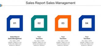 Sales Report Sales Management Ppt Powerpoint Presentation Pictures Cpb