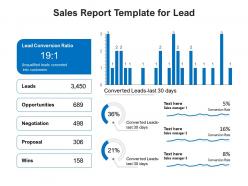 Sales report template for lead