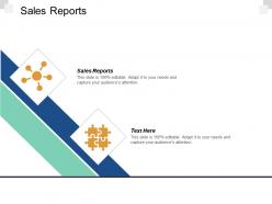 Sales reports ppt powerpoint presentation infographic template structure cpb