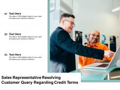 Sales representative resolving customer query regarding credit terms