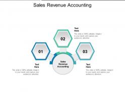 Sales revenue accounting ppt presentation summary portrait cpb