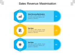 Sales revenue maximisation ppt powerpoint presentation pictures graphics design cpb