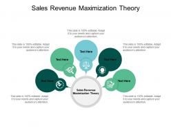 Sales revenue maximization theory ppt powerpoint presentation gallery outfit cpb