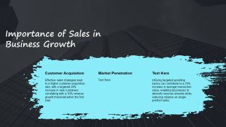 Sales Roles And Growth Strategies Overview PPT Example AT Images Engaging