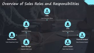 Sales Roles And Growth Strategies Overview PPT Example AT Best Engaging