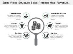 Sales roles structure sales process map revenue growth