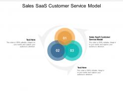 Sales saas customer service model ppt powerpoint presentation summary cpb