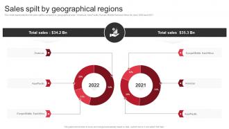 Sales Spilt By Geographical Regions 3M Company Profile Ppt Inspiration CP SS