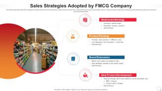 Sales Strategies Adopted By Fmcg Company