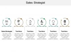 Sales strategist ppt powerpoint presentation gallery pictures cpb