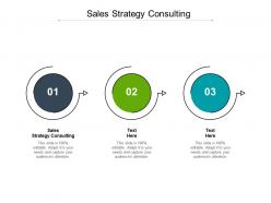 Sales strategy consulting ppt powerpoint presentation portfolio structure cpb
