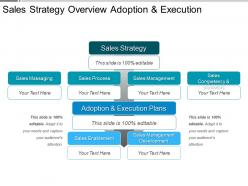 Sales strategy overview adoption and execution ppt summary
