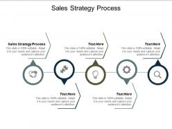 Sales strategy process ppt powerpoint presentation icon gallery cpb