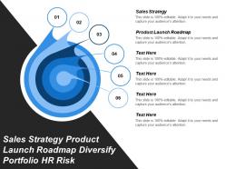 Sales strategy product launch roadmap diversify portfolio hr risk cpb