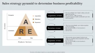 Sales Strategy Pyramid To Determine Business Profitability A Comprehensive Guide MKT SS V
