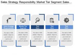 Sales strategy responsibility market tier segment sales dimension