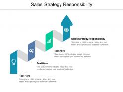 Sales strategy responsibility ppt powerpoint presentation file graphics cpb