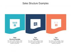 Sales structure examples ppt powerpoint presentation infographic template grid cpb