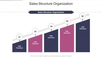 Sales Structure Organization In Powerpoint And Google Slides Cpb