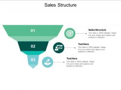 Sales structure ppt powerpoint presentation backgrounds cpb
