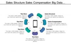 Sales Structure Sales Compensation Big Data Analytics Networking