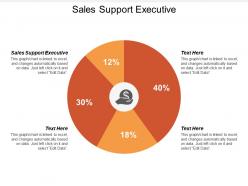 Sales support executive ppt powerpoint presentation infographics template cpb