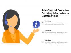 Sales support executive providing information to customer icon