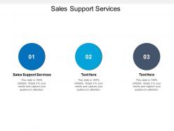 Sales support services ppt powerpoint presentation ideas graphic tips cpb