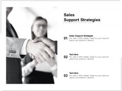 Sales support strategies ppt powerpoint presentation show tips cpb