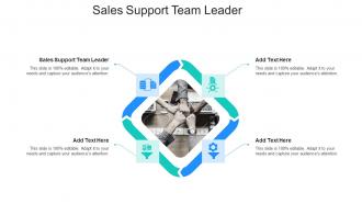 Sales Support Team Leader In Powerpoint And Google Slides Cpb