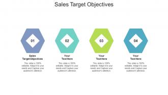Sales target objectives ppt powerpoint presentation example cpb
