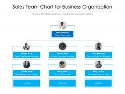 Sales team chart for business organization