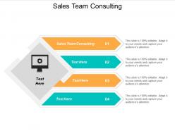 Sales team consulting ppt powerpoint presentation styles format cpb