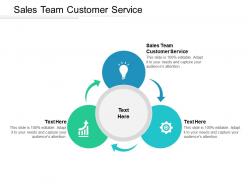 Sales team customer service ppt powerpoint presentation ideas cpb