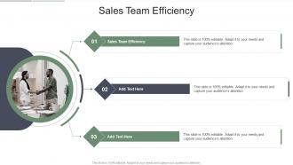 Sales Team Efficiency In Powerpoint And Google Slides Cpb