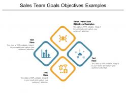 Sales team goals objectives examples ppt powerpoint presentation pictures clipart cpb