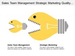 Sales team management strategic marketing quality management techniques