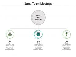 Sales team meetings ppt powerpoint presentation ideas clipart images cpb