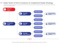 Sales Team Of The Company To Implement Sales Strategy Effectiveness Ppt Elements