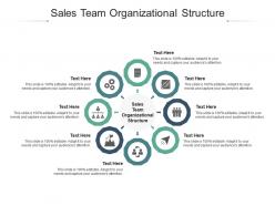Sales team organizational structure ppt powerpoint presentation ideas guidelines cpb