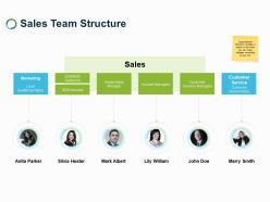 Sales team structure ppt powerpoint presentation gallery example file