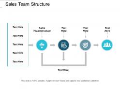 Sales team structure ppt powerpoint presentation information cpb