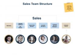 Sales Team Structure Ppt Powerpoint Presentation Outline Infographic Template