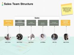 Sales team structure ppt powerpoint presentation summary good