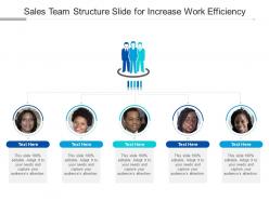Sales team structure slide for increase work efficiency infographic template