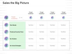 Sales The Big Picture Problems Faced Them Ppt Powerpoint Presentation Icon
